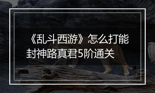 《乱斗西游》怎么打能封神路真君5阶通关