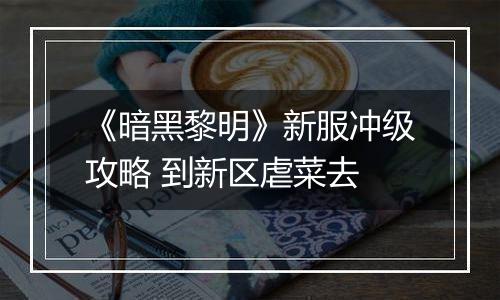 《暗黑黎明》新服冲级攻略 到新区虐菜去