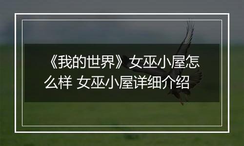《我的世界》女巫小屋怎么样 女巫小屋详细介绍