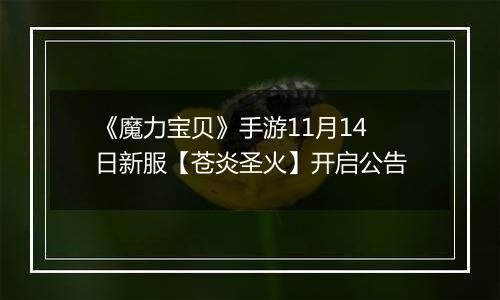 《魔力宝贝》手游11月14日新服【苍炎圣火】开启公告