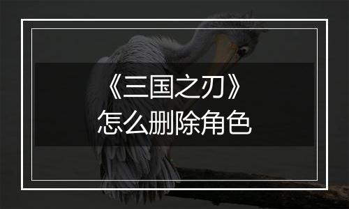 《三国之刃》怎么删除角色