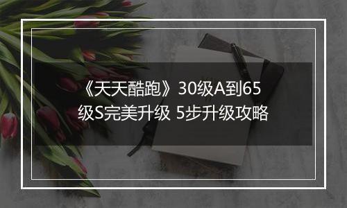 《天天酷跑》30级A到65级S完美升级 5步升级攻略