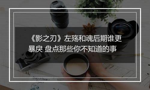 《影之刃》左殇和魂后期谁更暴戾 盘点那些你不知道的事