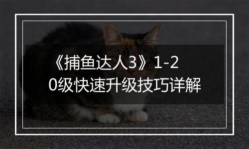 《捕鱼达人3》1-20级快速升级技巧详解