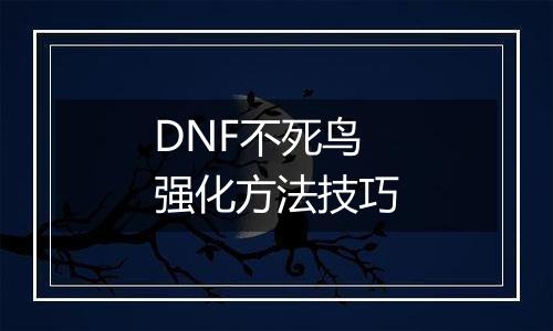 DNF不死鸟强化方法技巧