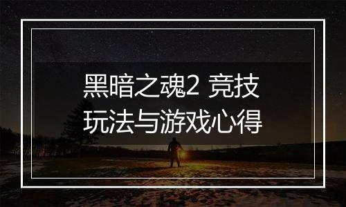 黑暗之魂2 竞技玩法与游戏心得