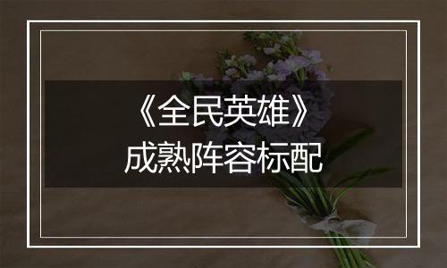 《全民英雄》成熟阵容标配