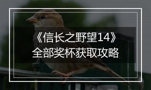 《信长之野望14》全部奖杯获取攻略