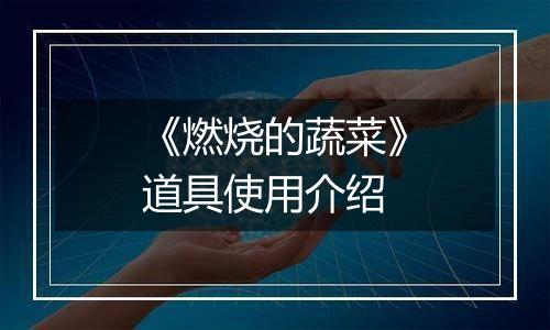 《燃烧的蔬菜》道具使用介绍