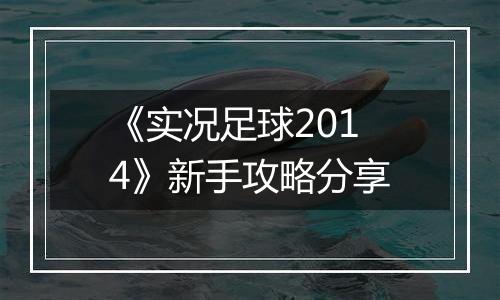 《实况足球2014》新手攻略分享