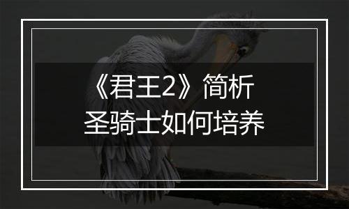 《君王2》简析圣骑士如何培养