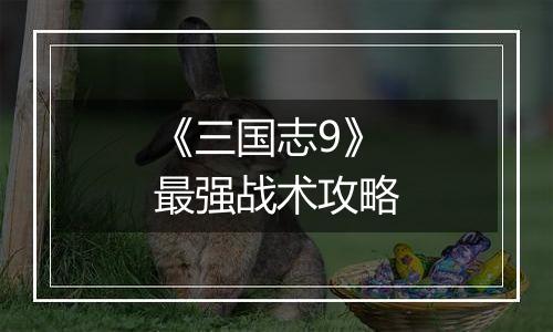 《三国志9》最强战术攻略