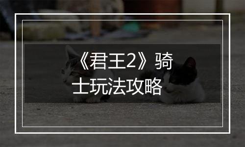 《君王2》骑士玩法攻略