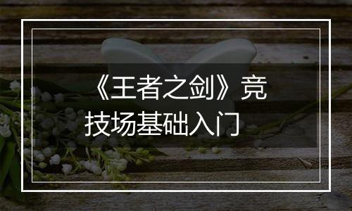 《王者之剑》竞技场基础入门