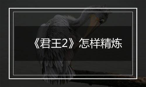 《君王2》怎样精炼