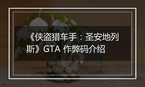 《侠盗猎车手：圣安地列斯》GTA 作弊码介绍