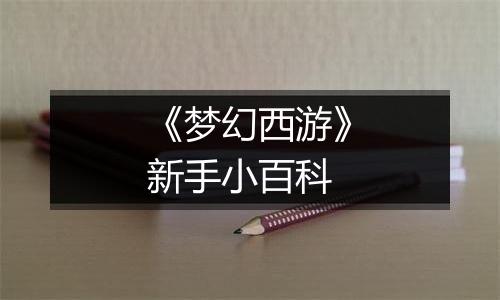 《梦幻西游》新手小百科