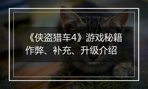 《侠盗猎车4》游戏秘籍作弊、补充、升级介绍