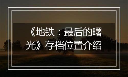 《地铁：最后的曙光》存档位置介绍
