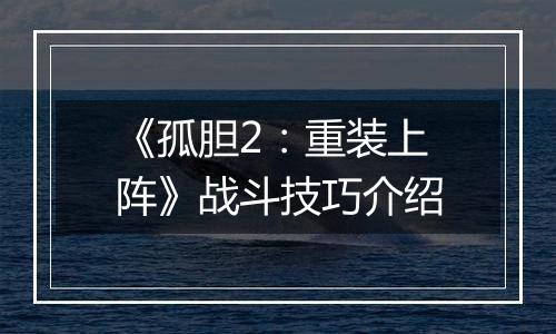 《孤胆2：重装上阵》战斗技巧介绍