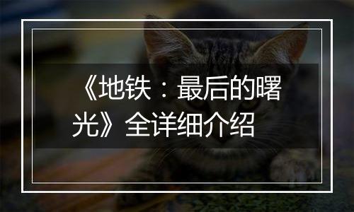 《地铁：最后的曙光》全详细介绍