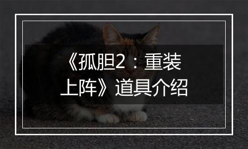 《孤胆2：重装上阵》道具介绍