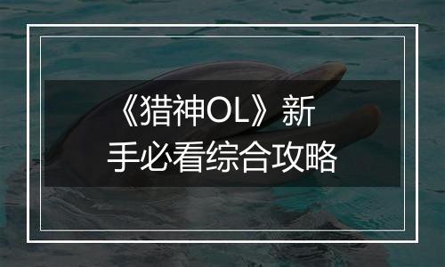 《猎神OL》新手必看综合攻略