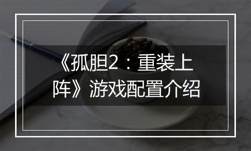 《孤胆2：重装上阵》游戏配置介绍