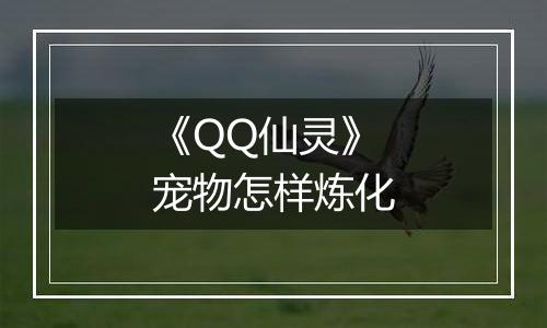 《QQ仙灵》宠物怎样炼化