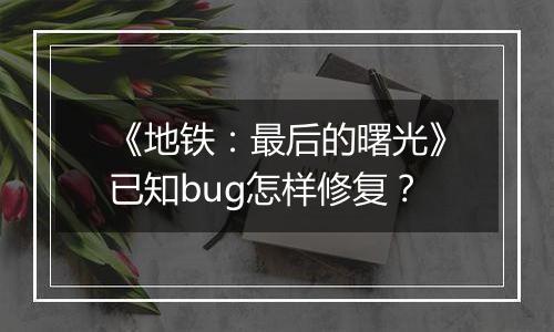 《地铁：最后的曙光》已知bug怎样修复？