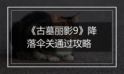 《古墓丽影9》降落伞关通过攻略