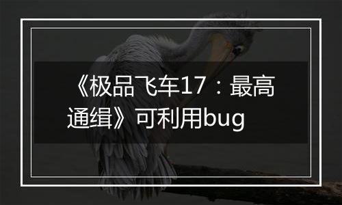 《极品飞车17：最高通缉》可利用bug