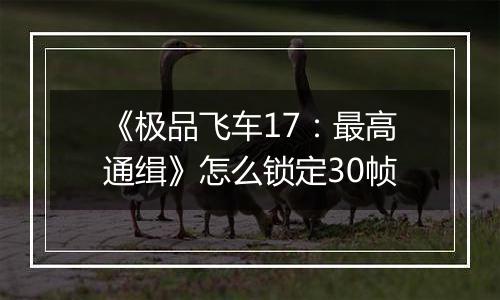 《极品飞车17：最高通缉》怎么锁定30帧