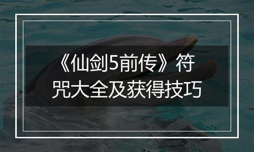 《仙剑5前传》符咒大全及获得技巧