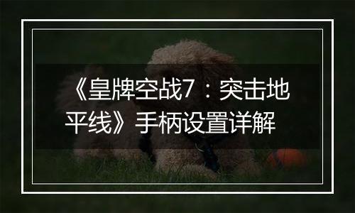《皇牌空战7：突击地平线》手柄设置详解