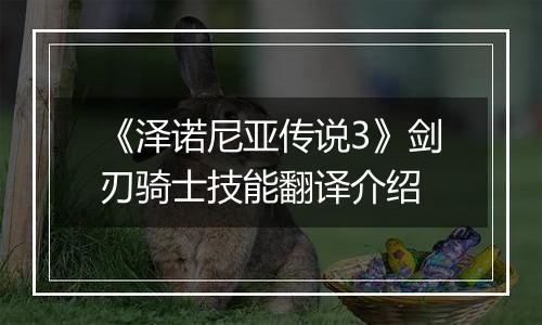 《泽诺尼亚传说3》剑刃骑士技能翻译介绍