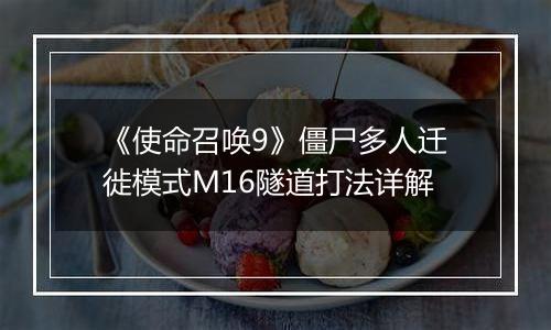 《使命召唤9》僵尸多人迁徙模式M16隧道打法详解