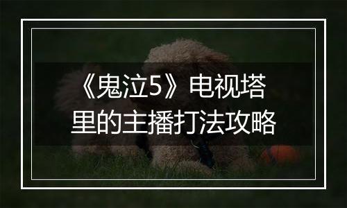 《鬼泣5》电视塔里的主播打法攻略