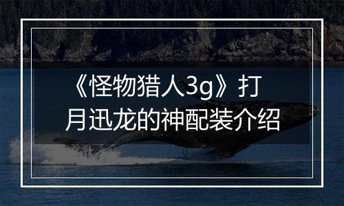 《怪物猎人3g》打月迅龙的神配装介绍