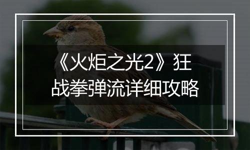 《火炬之光2》狂战拳弹流详细攻略