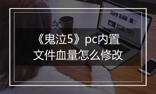 《鬼泣5》pc内置文件血量怎么修改