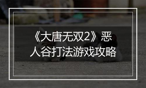 《大唐无双2》恶人谷打法游戏攻略