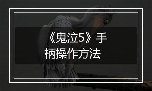 《鬼泣5》手柄操作方法