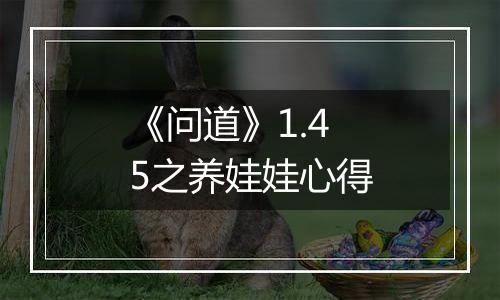 《问道》1.45之养娃娃心得