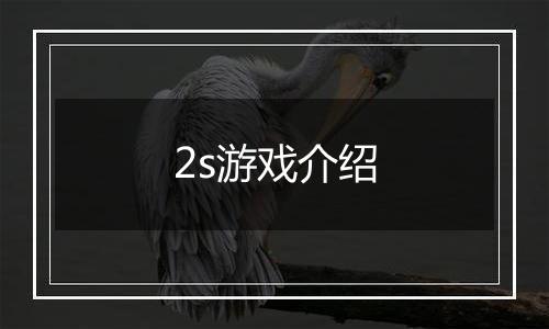 2s游戏介绍