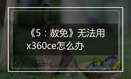 《5：赦免》无法用x360ce怎么办