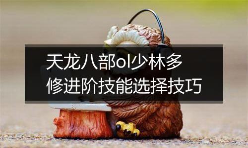 天龙八部ol少林多修进阶技能选择技巧