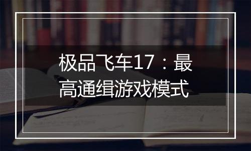 极品飞车17：最高通缉游戏模式