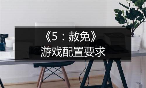 《5：赦免》游戏配置要求