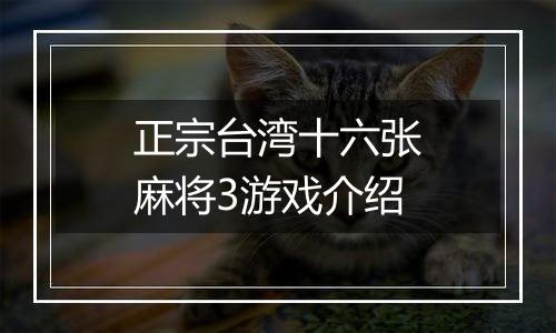 正宗台湾十六张麻将3游戏介绍